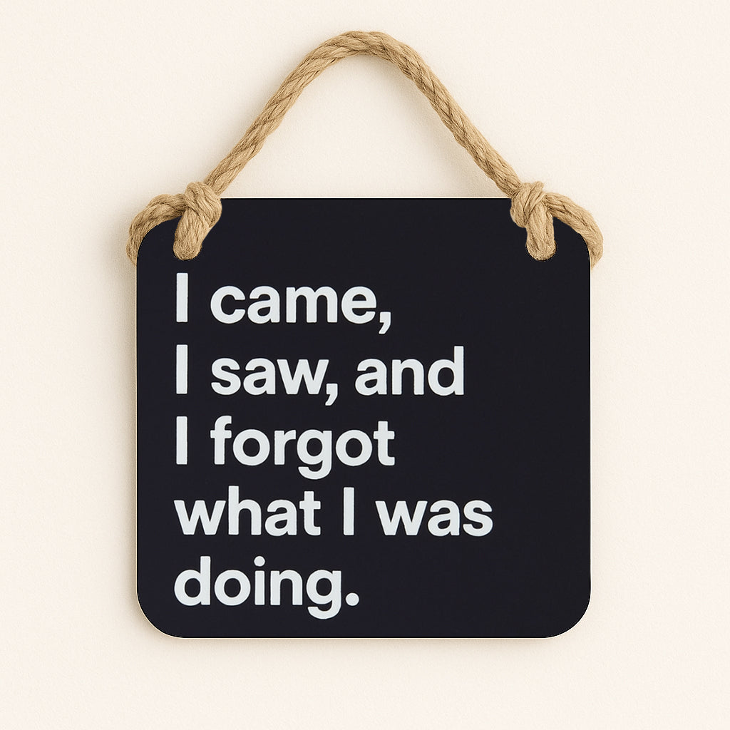 I Came, I Saw and I Forgot What I Was Doing