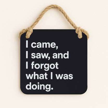 I Came, I Saw and I Forgot What I Was Doing