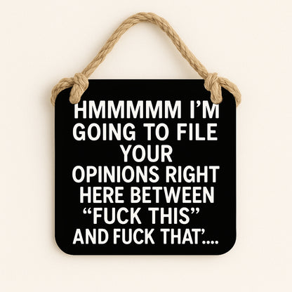 File Your Opinions