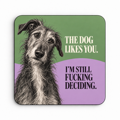 The Dog Likes You. I'm Still Fucking Deciding. — coaster