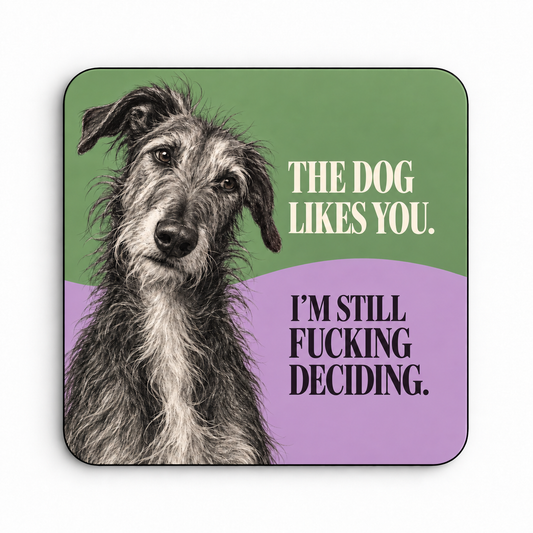 The Dog Likes You. I'm Still Fucking Deciding. — coaster
