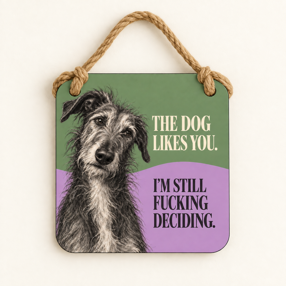 The Dog Likes You. I'm Still Fucking Deciding. — plaque