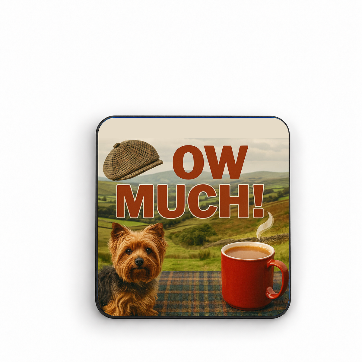 Ow Much — fridge magnet